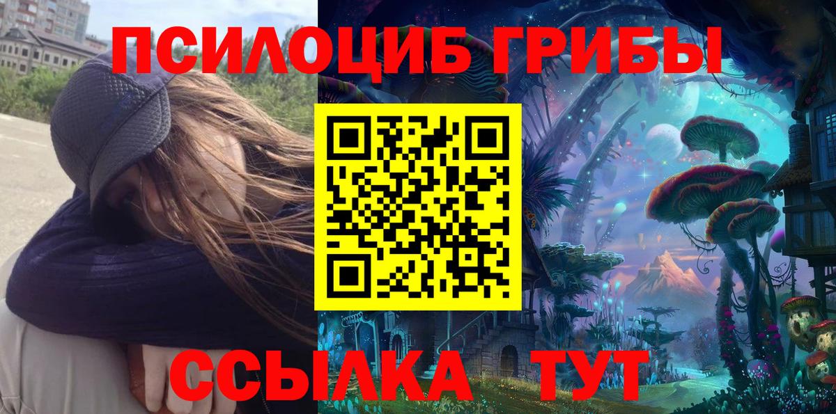 Псилоцибиновые грибы Psilocybine cubensis Нижнеудинск