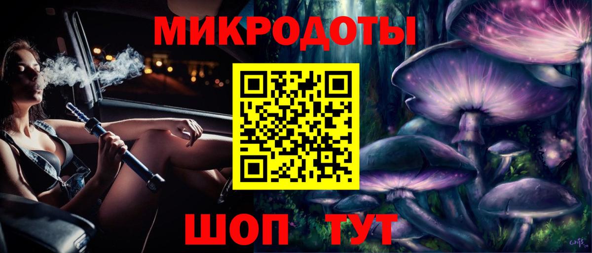 как найти   Вход с VPN  Нижнеудинск  Галлюциногенные грибы Psilocybe 